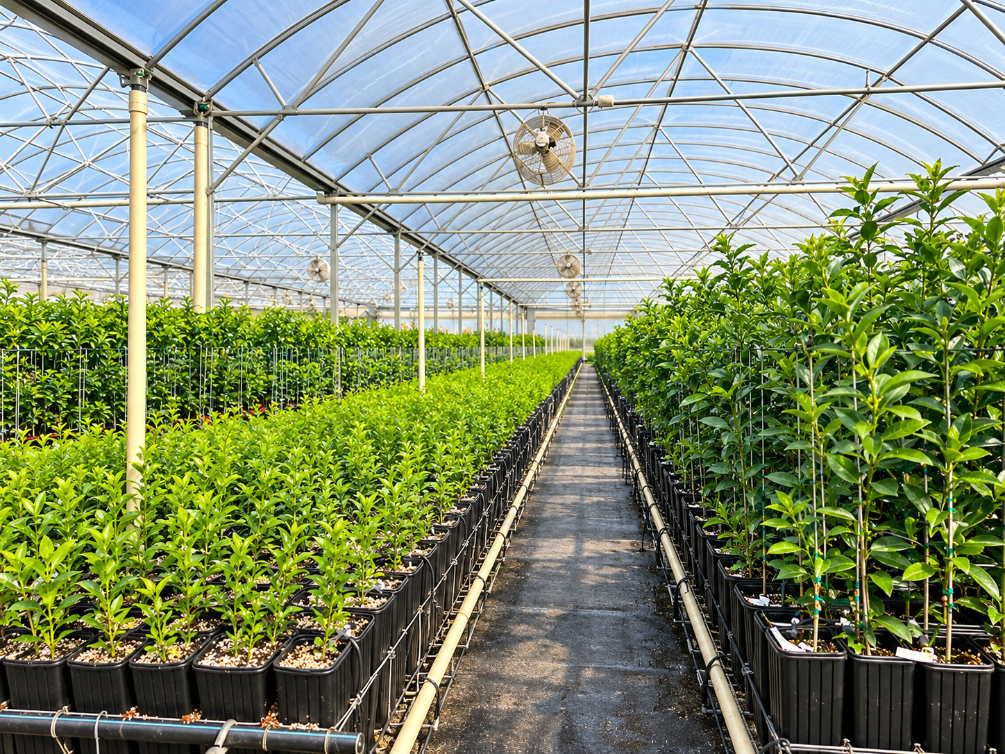 Greenhouses & Nurseries
